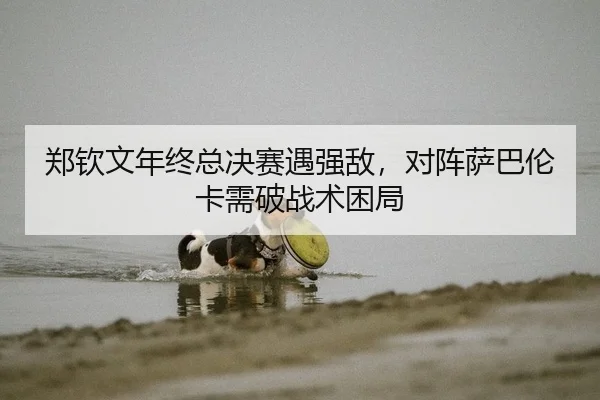 郑钦文年终总决赛遇强敌，对阵萨巴伦卡需破战术困局